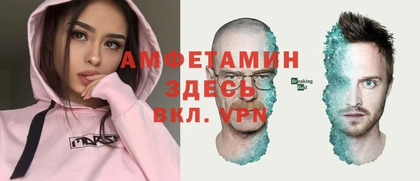 мдпв Богданович