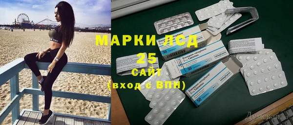 мдпв Богданович